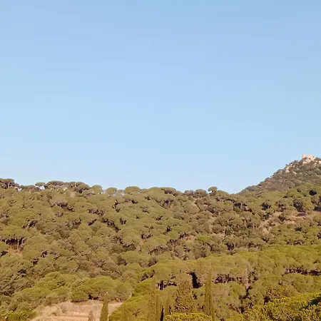 Xanascat Cabrera de Mar