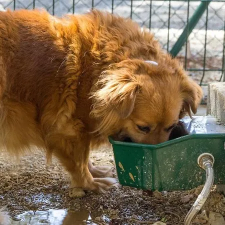 Albergue Xanascat Cabrera de Mar